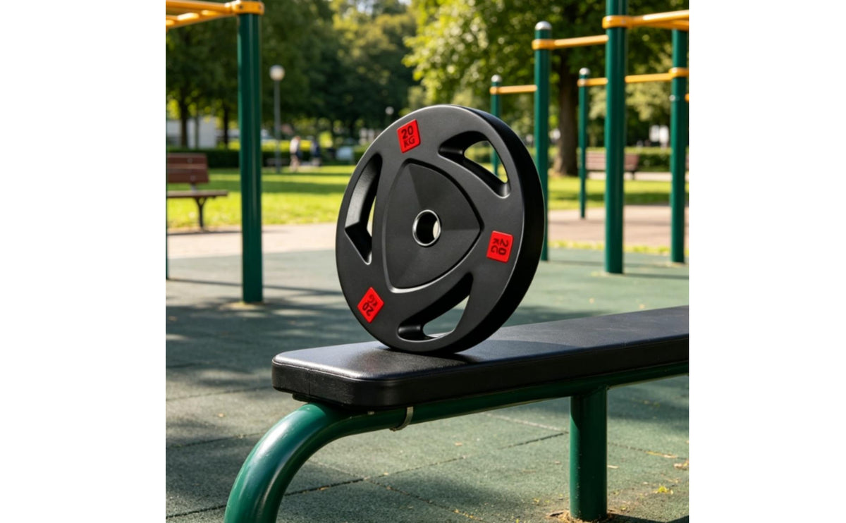 Cast Iron Exercise Disc with Grip Openings and Matte Finish