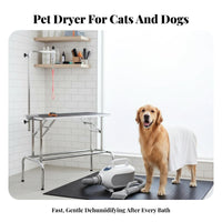 Pet Hair Blower Adjustable Temperature Control Pet Grooming Force Dryer Low Noise Canine Grooming Blower for Professional Groomers