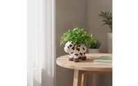 Cow Planter Cute Cow-Shaped Planter Tabletop for Windowsill, Desk, Plant Lovers