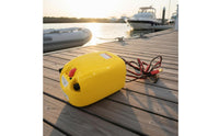 Dual Use Inflate Deflate Inflatable Boat Pump Car Powered 12V Air Pump