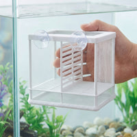 Fish Breeding Isolation Box with Net for Aquarium, Guppy Fry Hatchery and Nursery