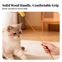 Relieves Boredom Barley Cat Teaser Chew-Resistant Cat Teaser Wand Stimulates Instincts for Cats, Kittens, Play Time, Indoor, Indoors