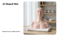 Multi-Function Massage Training Mannequin Reusable Acupoint Model Bust Long-Lasting for Students, Beginners