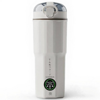 Stainless steel fast boil kettle
