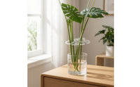 Sturdy Monstera Plant Bundling Circle Reusable Transparent Plant Fixator Versatile Use Gardening Supply Decorative for Indoor Plants, Home Decor, Office