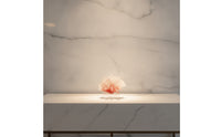Coral Sculpture with Acrylic Base Tabletop Coral Sculpture Translucent Resin Ornament with Base for Living Room, Office Desk
