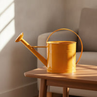 Metal Watering Can with Sprinkler Head Arched Handle Watering Can with Long Spout Stylish Vessel Modern for Gardeners