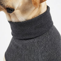 Dog Comfort Vest for Calming Relief, Polyester Jacket Vest in a Casual Style for Autumn Wear, Pet Calming for Visits and Separation