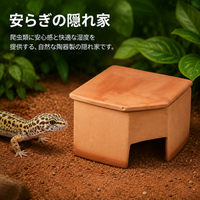 Leopard Gecko Shelter, Reptile Shelter, Hideout, Moisturizing, Terracotta, 2-Pack
