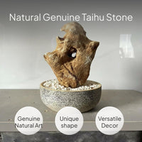 Taihu Stone Ornament for Aquarium and Bonsai Decor