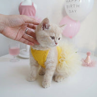 Kumquat Yellow Dog Dress, Knitted Ballet Pet Clothes for Small Dogs Girl, Lightweight Puppy Outfit for Spring Summer Autumn