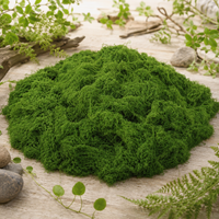 artificial moss mat