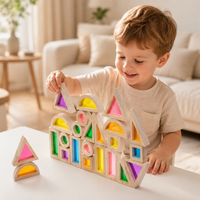 Wooden Acrylic Sensory Building Blocks Set for Kids, Educational Stacking Toy for Early Learning and Shape Recognition