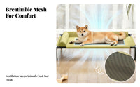 Padded Bolsters Breathable Mesh Pet Bed Metal Frame Raised Pet Bed Elevated Design