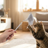 Interactive Cat Toy, Cat Teaser for Boredom, Feather Fishing Pole, Chew Resistant, Sound Feature, 2 Pieces