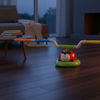 Parent Child Play Ladybug Toy Gift Idea Kids Balance Training Toy 3 in 1 for Indoor, Home