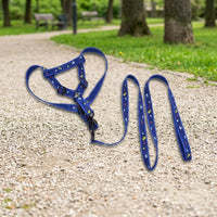 Small Dog Harness and Small Dog Leash Nylon Pet Dog Walking Set and Cat Walking Set, Not Retractable Training Outdoor Walking Gear