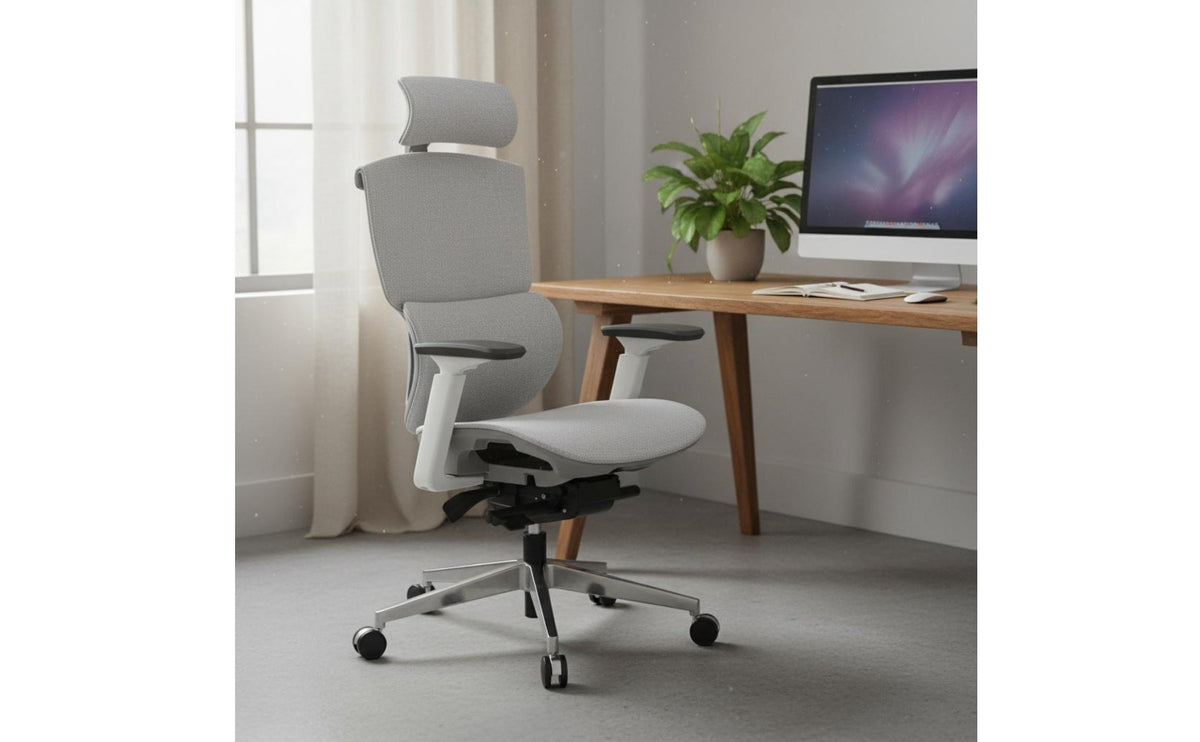 Reclining Function Adjustable Support Chair