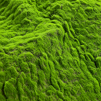 artificial moss mat