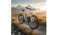 Shock Absorption 26 Inch Mountain Bike Disc Brakes Mountain Bike Variable Speed Outdoor Vehicle High-Carbon Steel Frame for Adults