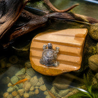 Natural Turtle Basking Platform with Anti-Slip Steps and Hiding Cave for Aquarium Decor