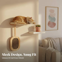 toolwithout damage installation Suction mount glass feline storage areaSaving Pet platform Elevated Viewing lofelineion for Apartment Dwellers, Glass Surfaces, glass panels, Living Room, Balcony Doors