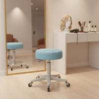Back Support Height Adjustable Salon Stool Easy to Clean Backrest Rolling Stool Heavy Duty Round Salon Chair for Hair Stylists, Nail Technicians, Barbers