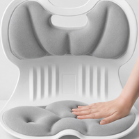 back support cushion