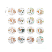 14 Pieces Baby Milestone Cards Pastel Milestone Card Set with Teddy Bear Cute Whimsical for Parents, Nursery Photos, Scrapbook
