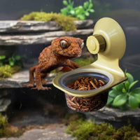 Hanging Gecko Food Bowl Easy to Clean Wall Mounted Animal Bowl Reptile Dish Transparent Bowls Terrarium Accessory for Vivarium