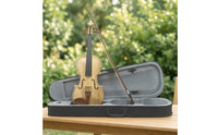 Violin with Hard Case Wooden Violin with Case Black Student for Beginners, Practice, Lessons