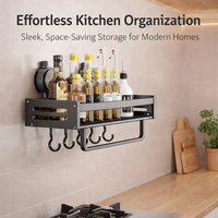 Wall Organizer and Mounted Spice Racks for Pantry Organization, Stainless Steel Metal for Condiment Storage