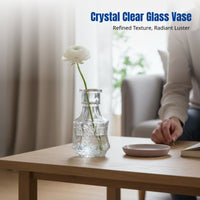Nordic Modern Glass Vase, Mini Flower Holder, Transparent, Water-Grown Flower Decor