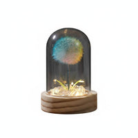 Gift Idea Floral Crystal Ball Lamp Decorative Accent Floral Dome Lamp Delicate Design Glass Dome Night Light LED Lighting for Desktop, Bedside