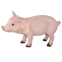 Realistic Resin Pig Statue Three-Dimensional Pig Statue Solid Animal Figurine Molded Details for Yard, Park, Window Display