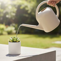 Indoor Watering Can with Long Spout Precision Plain Compact for Plant Lovers, Gardeners, Balcony, Home