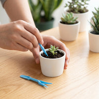Garden Dibber & Plant Transplanter Set, 2 Pcs Seedling Tools with Ergonomic Composite Handle, Lightweight for Delicate Plant Handling