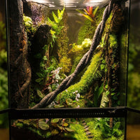 50cm Textured Dark Brown Terrarium Vine, Climbing Animal Habitat Vine for Jungle Enclosures, Modular Wrappable Decor