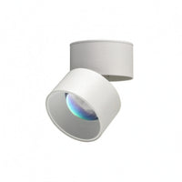 Cylindrical Head Surface Mount Lamp Rotatable Adjustable Ceiling Lamp Foldable Surface Mounted Light Aluminum
