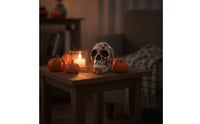 Skull Figurine Tabletop Skull Statue Sculpture Gothic Decor Spooky for Goths, Halloween, Mantel Displays