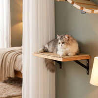 Cat Shelves Climbing Wall Activity Center with Enclosed Shelter, 5-Level Wood Set, Wall Mounted Scratching Posts for Large Indoor Cats and Kittens