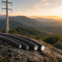 electrical cable