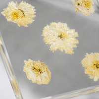 High Transparency Display Block, Plant Interior Cube for Photography