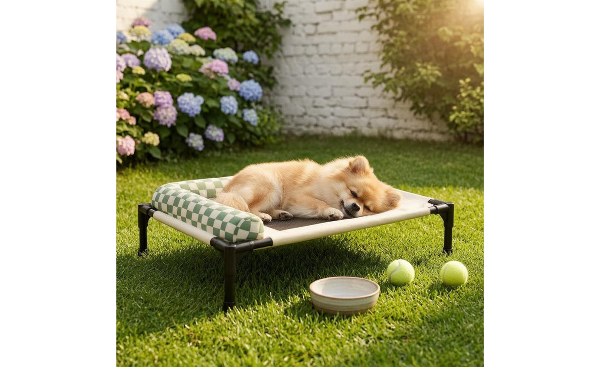 Elevated Pet Cot Low-Profile Bolstered Dog Cot Tubular Frame for Medium Pets