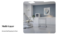 Medical Facility Treatment Trolley Heavy-Duty 2-Tier Medical Trolley Easy to Clean Stainless Steel Instrument Cart for Salon Hospital, Workshop