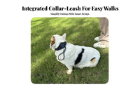 Dog with Retractable Leash Customizable Fit Retractable Leash Dog Quick Release Buckle for Outdoor Activities, Traveling, Night Walks