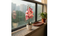 Decorative Filler Artificial Flowering Plant Indoor Ribbed Planter Flowering Plant 42 Cm Tall Phalaenopsis Potted Plant Low Maintenance for Home