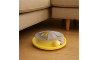 Interactive Cat Toy Exercise Cat Teaser Toy Round for Cats