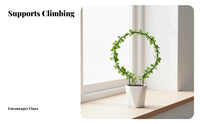 Circular Design Shaped Plant Trellis Rust-Proof Climbing Vine Rack Rustproof Gardening Supply Weather-Resistant for Gardeners, Home Decorators, Homeowners, Indoor, Balcony, Backyard, Living Room