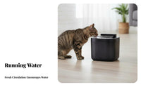 Large Capacity Automatic Pet Water Fountain Multi-Stage Filtration Automatic Cat Water Fountain Food-Grade Material Circulating Pet Waterer Waterfall Design for Cats, Dogs